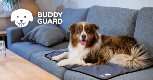Buddyguard